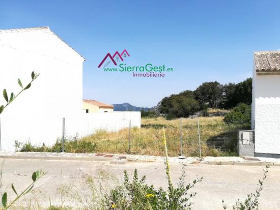 VENTA TERRENO BENAOCAZ - CADIZ