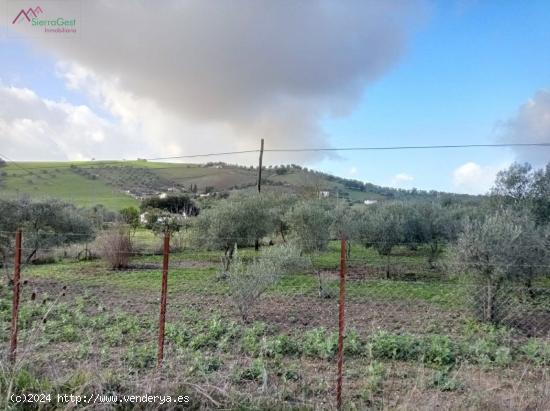  VENTA PARCELA PRADO DEL REY - CADIZ 