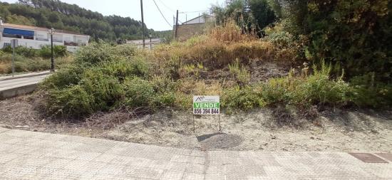 VENTA SOLAR EN EL BOSQUE - CADIZ