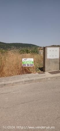 VENTA SOLAR EN EL BOSQUE - CADIZ