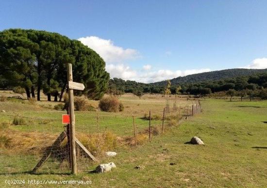  VENTA PARCELA CON CASA Y POZO - CADIZ 