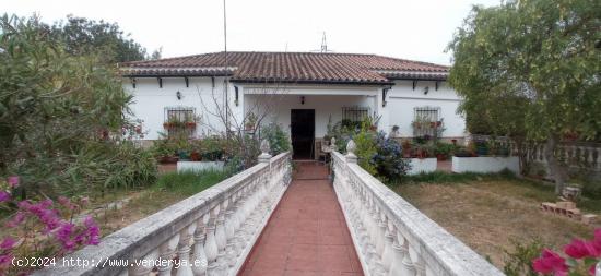 VENTA PARCELA CON CASA Y PISCINA. PRADO DEL REY - CADIZ