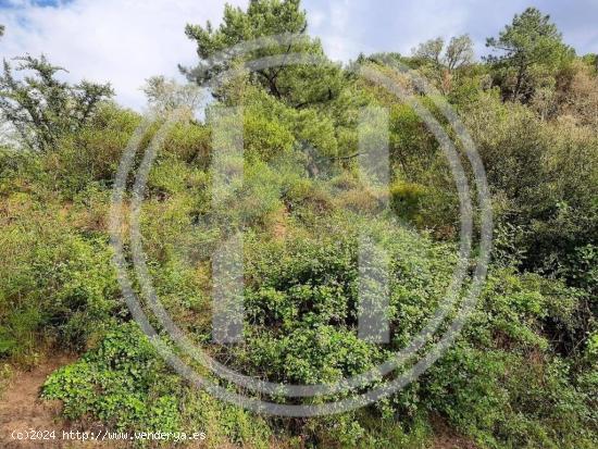  TERRENO EN CANADA PARK - BARCELONA 