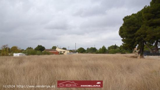 Parcela urbana llana y rectangular - VALENCIA