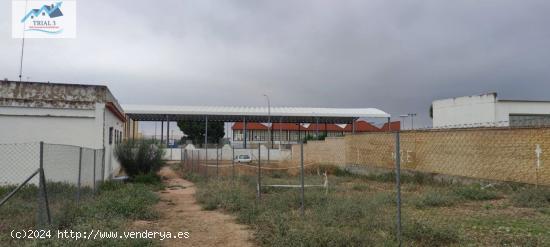 Venta local en Lora del Rio (Sevilla) - SEVILLA