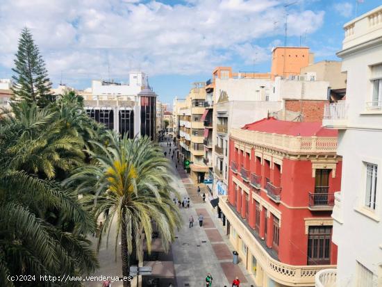 ¿QUIERES VIVIR EN LA MISMA GLORIETA DE ELCHE? - ALICANTE