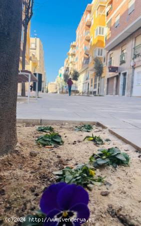 LOCAL CON VADO EN CALLE PEATONAL EN CARRUS - ALICANTE