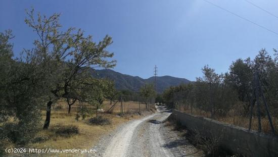  Finca Rústica - GRANADA 