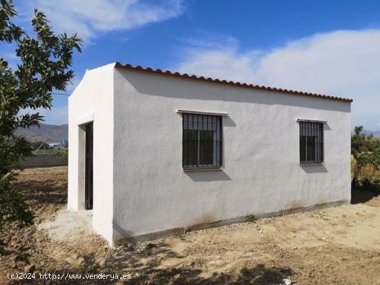 Finca Rústica de Regadío - GRANADA