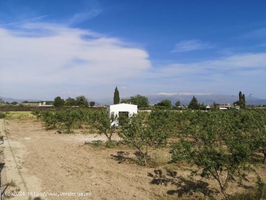 Finca Rústica de Regadío - GRANADA