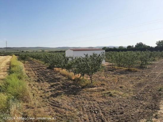 Finca Rústica de Regadío - GRANADA