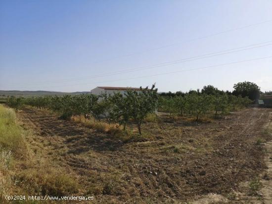 Finca Rústica de Regadío - GRANADA