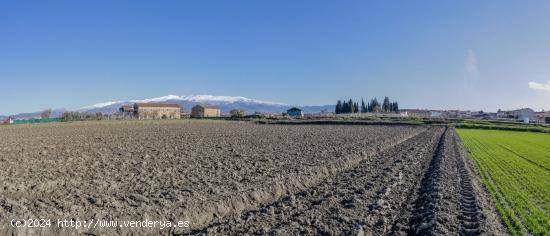 FINCA RUSTICA EN CÚLLAR VEGA - GRANADA