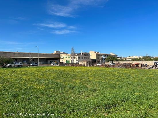 Solar en venta en Porreres - BALEARES