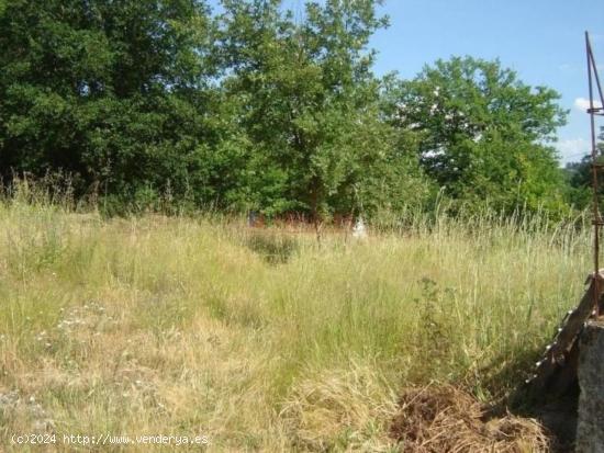 TERRENO EN VILAR - ORENSE