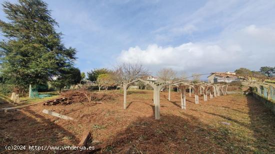  Magnífica finca edificable en el centro urbano de la Ramallosa. - PONTEVEDRA 