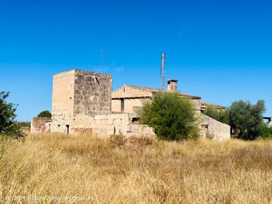 Finca rústica con terreno para renovar en Campos. - BALEARES