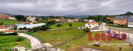  Extenso suelo urbano en Cóbreces, Cantabria. 