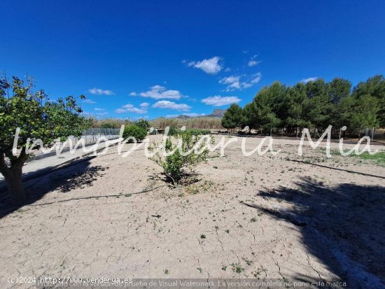 Estupendo chalet a la Venta en Lorca