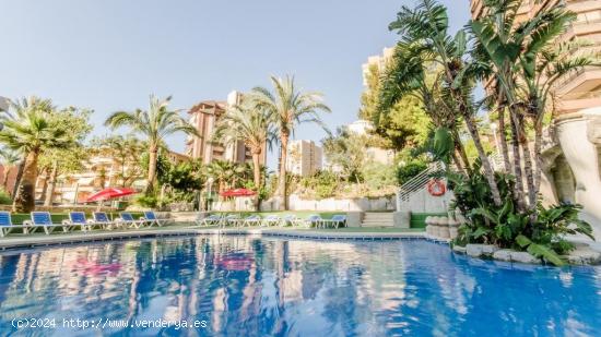 Apartamentos en la playa Poniente - ALICANTE