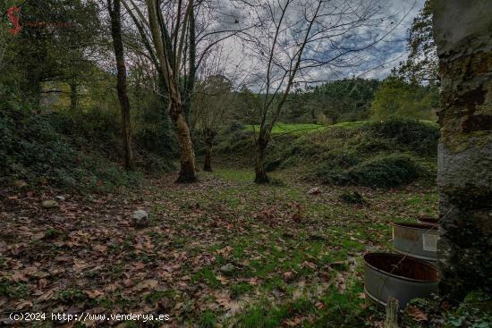 Terreno rústico agrario en la Cavada - CANTABRIA