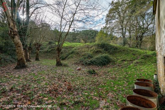 Terreno rústico agrario en la Cavada - CANTABRIA