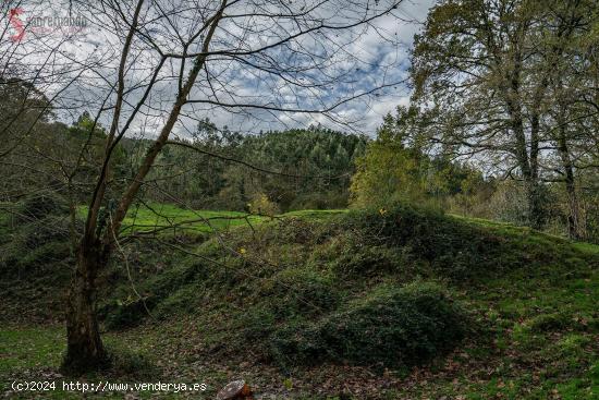 Terreno rústico agrario en la Cavada - CANTABRIA