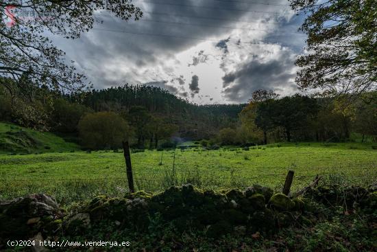 Terreno rústico agrario en la Cavada - CANTABRIA