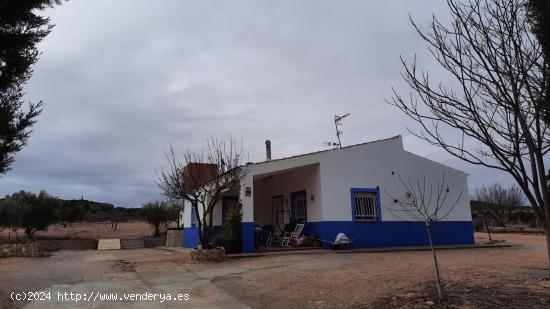 MUY CERCA DEL CASCO URBANO. VIVIENDA PARA HABITAR TODO EL AÑO - ALBACETE