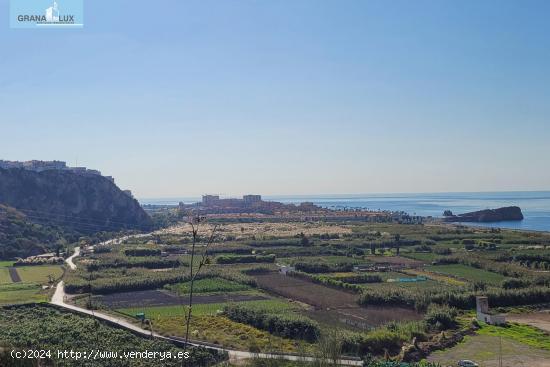 PARCELA EN VENTA EN URBANIZACIÓN MONTE DE LOS ALMENDROS - GRANADA