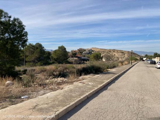 PARCELA EN EL CHORRICO DE 2.400 METROS SEGREGABLE EN TRES - MURCIA