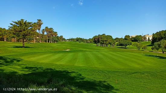 APARTAMENTO RODEADO DE CAMPOS DE GOLF. - ALICANTE