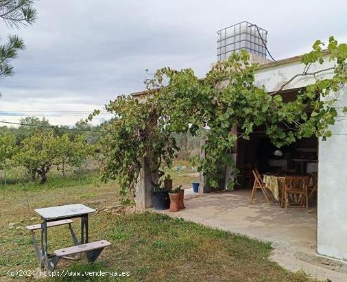 CASETA CON TERRENO CERCA DE LA BARONA - CASTELLON