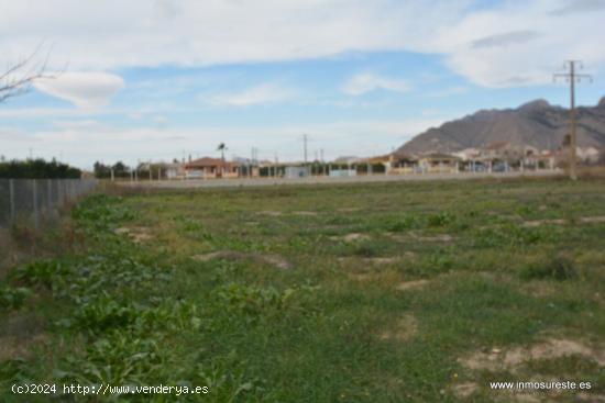 Parcela rústica en Orihuela, zona Ctra. de Beniel, 3.000 m2. de superficie. - ALICANTE