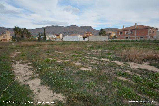 Parcela rústica en Orihuela, zona Ctra. de Beniel, 3.000 m2. de superficie. - ALICANTE