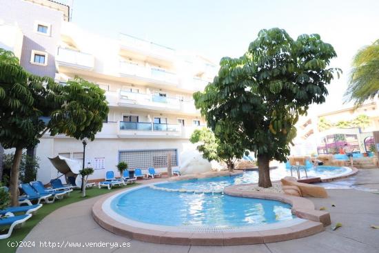 Apartamento con licencia turistica en Cabo Roig! - ALICANTE