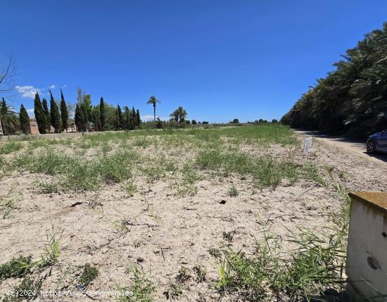 AMPLIO TERRENO EN DAIMÉS - ALICANTE