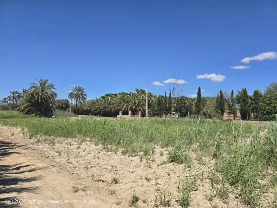 AMPLIO TERRENO EN DAIMÉS - ALICANTE