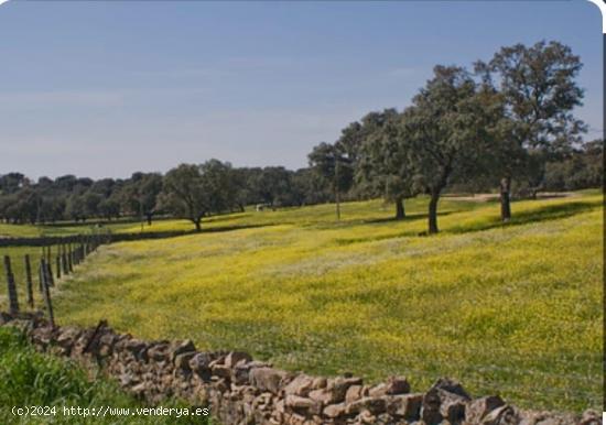 Se Vende en Añover de Tormes - SALAMANCA