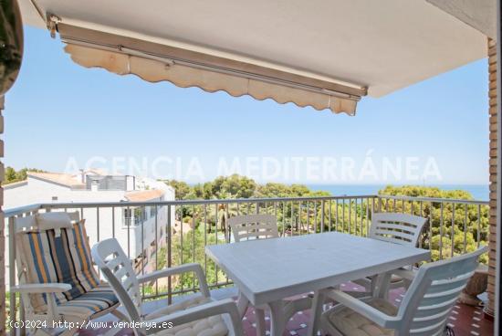  APARTAMENTO LUMINOSO CON VISTAS EN EL CORAZON DE LAS ROTAS DENIA - ALICANTE 