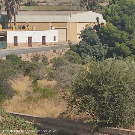 RESERVADO CORTIJO EN GADOR - ALMERIA