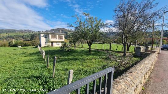 CASA PARA REFORMAR CON MUCHAS POSIBILIDADES Y UN GRAN TERRENO URBANO EN SILIÓ.- - CANTABRIA