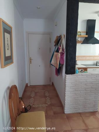 VIVIENDA EN ALQUILER EN JULIO EN ROTA - CADIZ