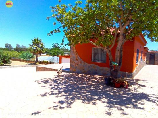 FINCA CON CASA EN LEPE - HUELVA