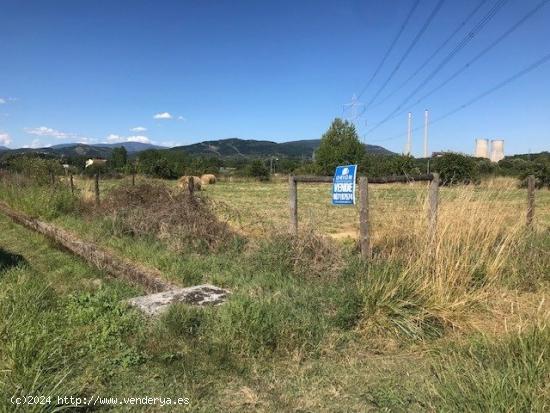 SE VENDE FINCA RUSTICA EN BARCENA DEL BIERZO - LEON