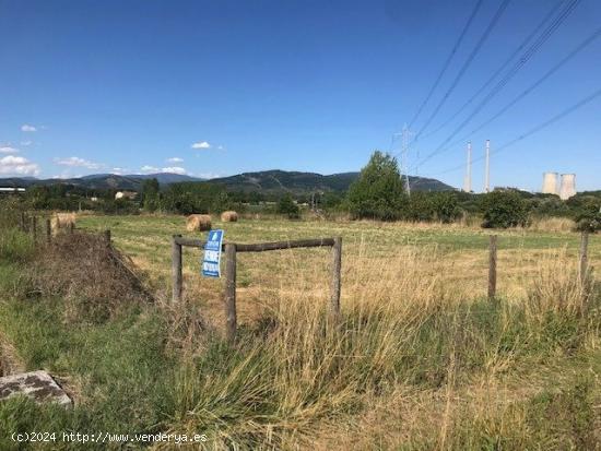 SE VENDE FINCA RUSTICA EN BARCENA DEL BIERZO - LEON