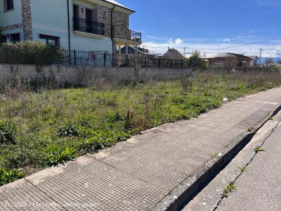 SE VENDE SOLAR EN CACABELOS CON 50 METROS DE FACHADA - LEON