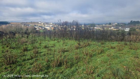 SE VENDE FINCA EDIFICABLE EN CABAÑAS RARAS - LEON