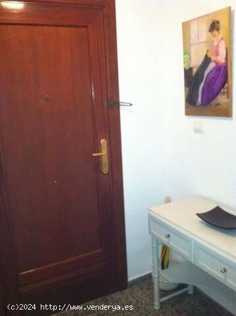 Piso Alquiler -Zona Algiros - VALENCIA