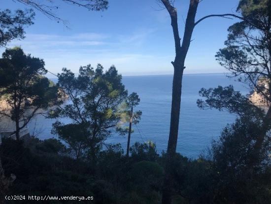 SOLARES EN MULETA – SOLLER – VISTAS AL MAR. - BALEARES